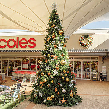 Deluxe Cone Tree with Metal Frame 5M - Christmas Decorations Brisbane
